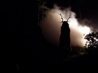 kroenung_2005