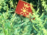 wt2007