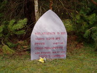 yf-2006