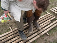 DSCN0799.jpg