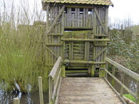 S6300353.JPG