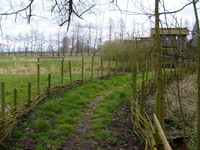 S6300357.JPG