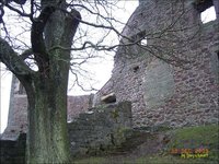 Wintertreyben2009_218.jpg