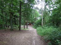 DSCF0145.JPG