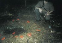 09_Lothar.jpg