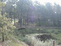 DSC00194.JPG