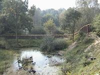 DSC00199.JPG