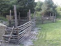 DSC00201.JPG