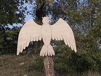 DSC00205.JPG