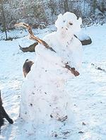 wt_2002_bohne_06.jpg