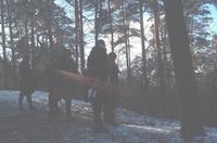 wt_2002_bohne_10.jpg