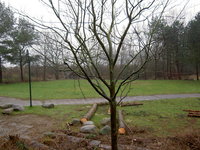 PICT1886.JPG