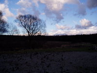 pc190016.jpg