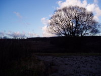 pc190017.jpg