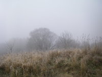 IMGP1457.JPG