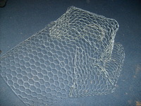 S6300759.JPG