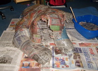 S6300764.jpg