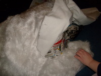S6300776.JPG