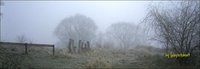 Wintertreyben2008_014.jpg