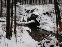 DSCN1903.JPG
