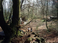 Alt-Tag