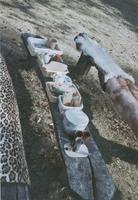 Yorkfeuer_2003_15.jpg