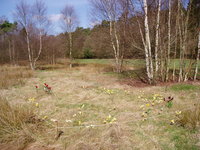 p4150004.jpg