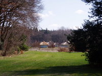 p4150012.jpg