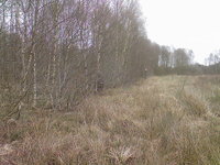 Foto-0008.jpg