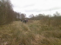 Foto-0009.jpg