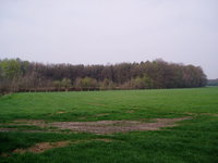 P4120028.JPG