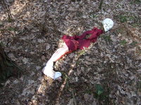 DSCF2275.JPG