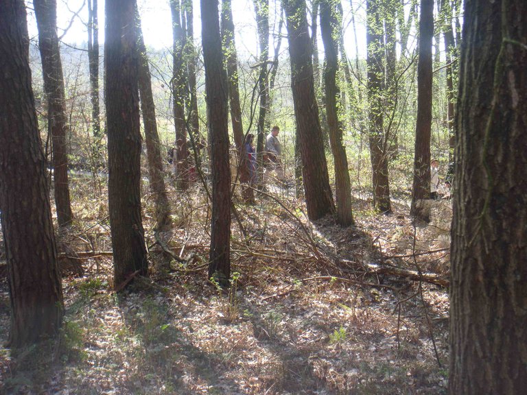 DSC00753.JPG