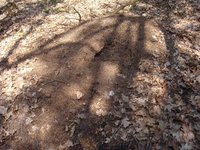 DSC00750.JPG