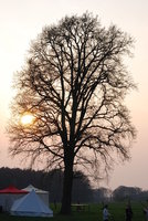 14.01.08_450.JPG