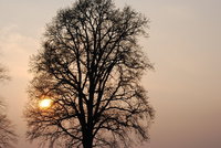 14.01.08_451.JPG