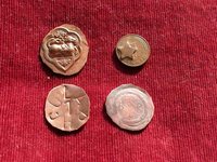 Diverse Kupferlinge